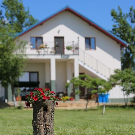 Pensiunea Palaghia Jurilovca Luaran gambar