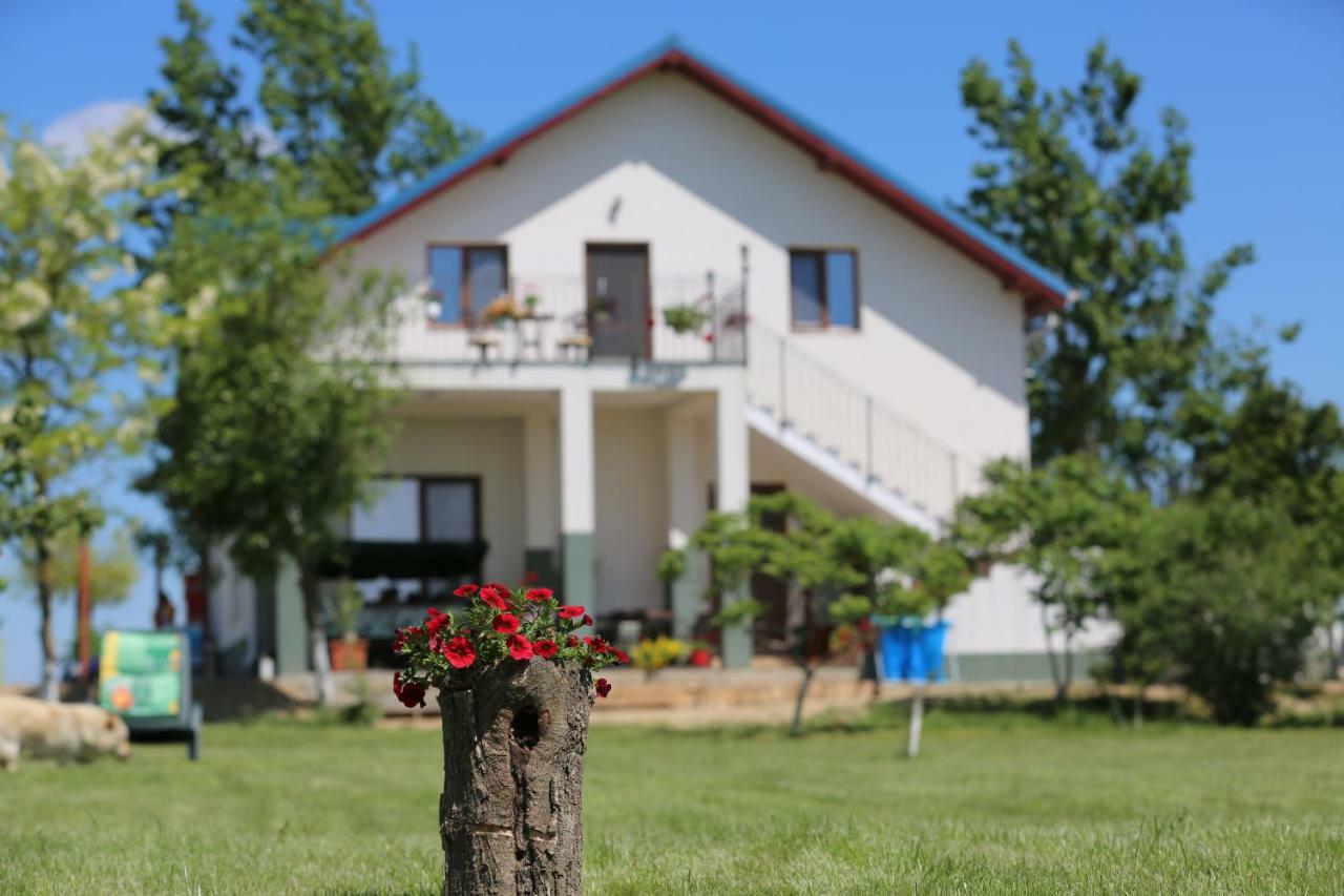Pensiunea Palaghia Jurilovca Luaran gambar