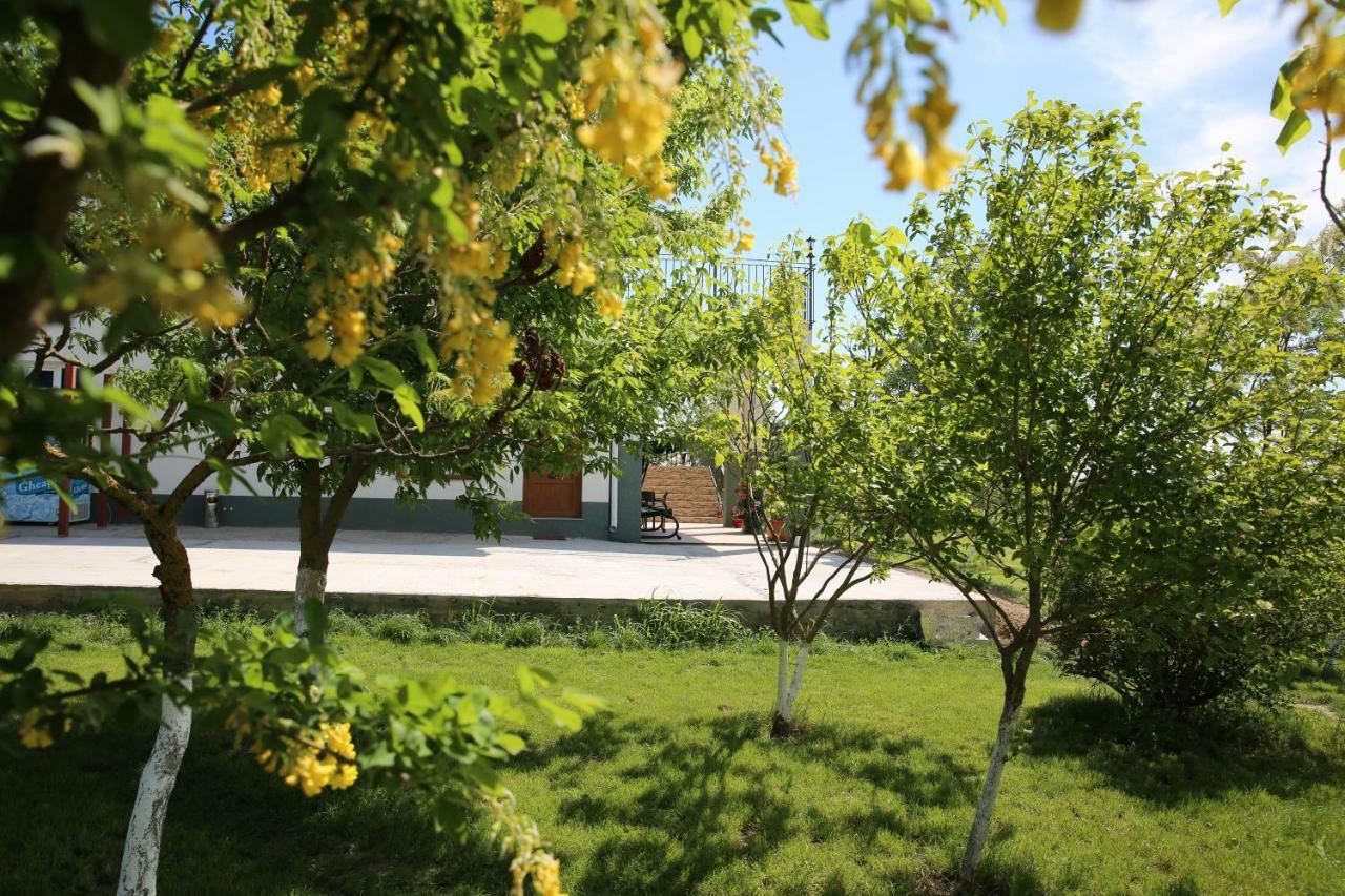 Pensiunea Palaghia Jurilovca Luaran gambar